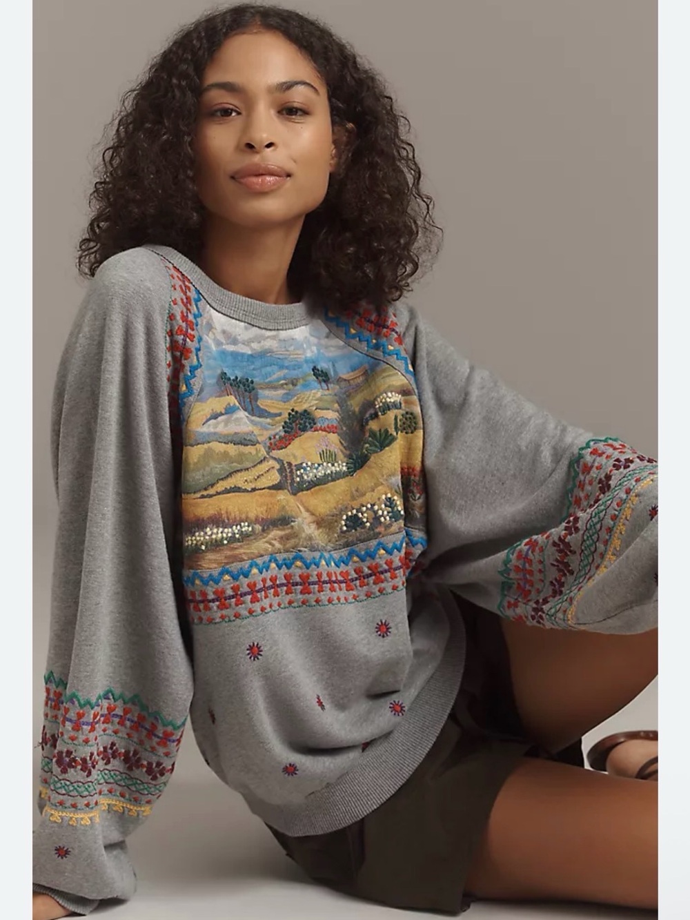 Anthropologie Pilcro Embroidered Sweatshirt - SOLD OUT - small